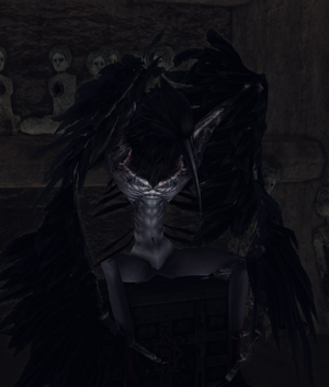 Armero Ornifex