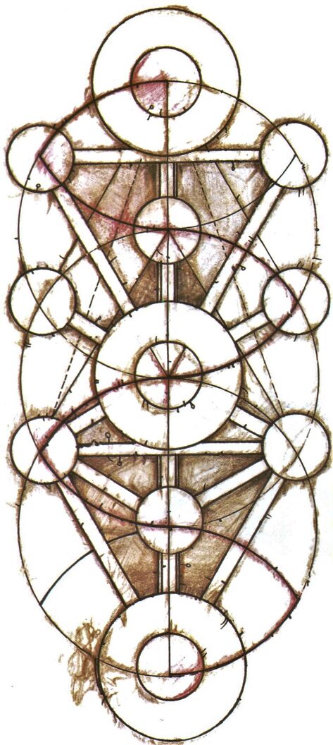 File:Tree of Life.jpg