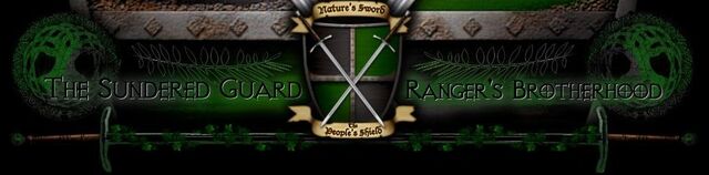 File:TSG banner.jpg