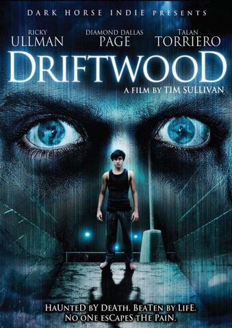 File:Driftwood poster.jpg