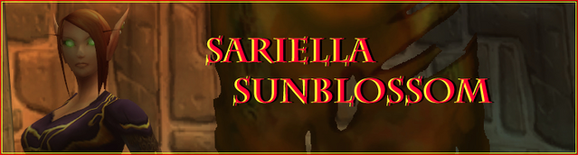 File:Sar234234234i Banner.png