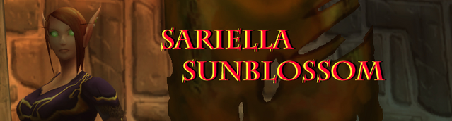 File:Sari Banner.png