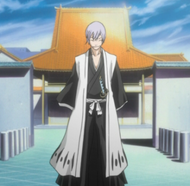 Captain Gin Ichimaru