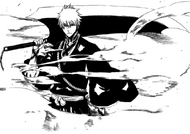 Zangetsu's New Shikai