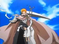 Ichigo saves rukia