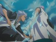 Gin vs Hitsugaya