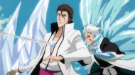 Hitsugaya stabs Aizen