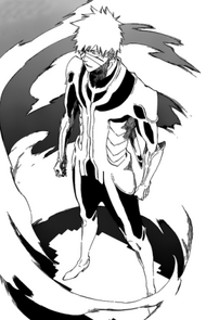 Ichigo's Complete Fullbring