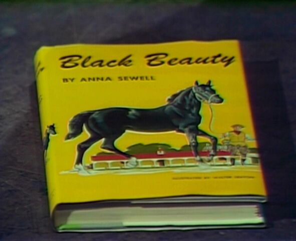 File:BlackBeauty909.jpg