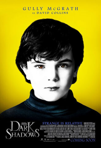 Datei:DARK-SHADOWS-movie-poster-Gully-McGrath-As-David-Collins.jpg