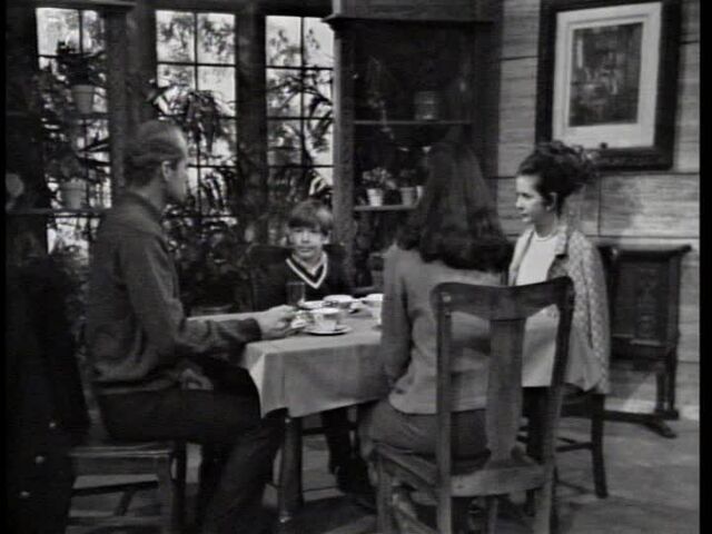 File:DarkShadows132.jpg