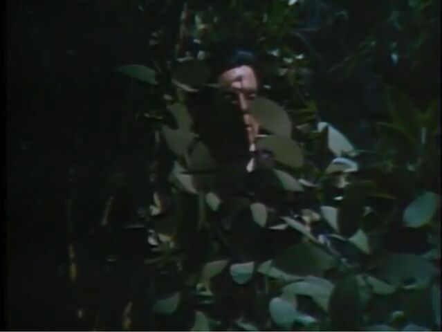 File:1241kb.jpg