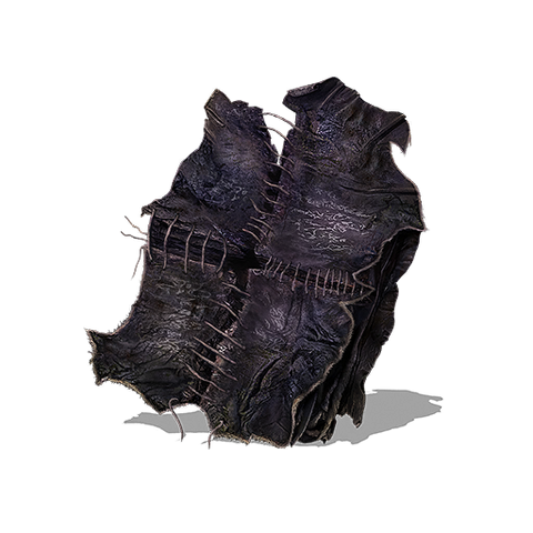 File:Grave Warden Pyromancy Tome.png