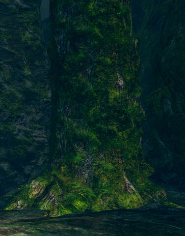 File:Possessed tree.jpg