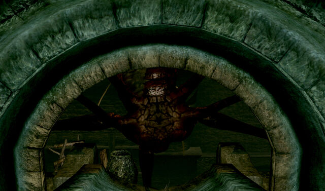 File:Parasitic wall hugger underside.jpg