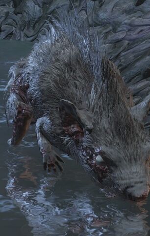 File:Rat.jpg
