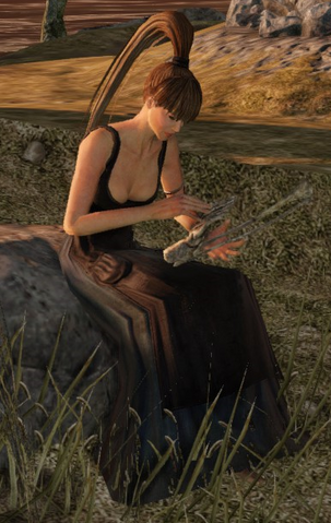 File:Stone Trader Chloanne.png