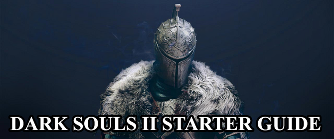DS2StarterBlogheader.png