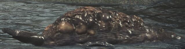 File:Rotten Slug.jpg