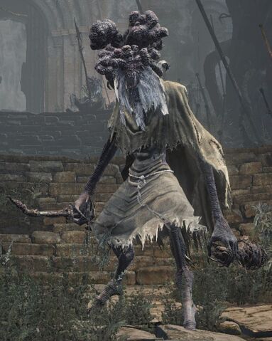 File:Shaman Ghru.jpg