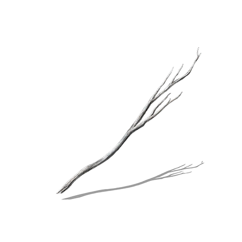 File:Young White Branch.png