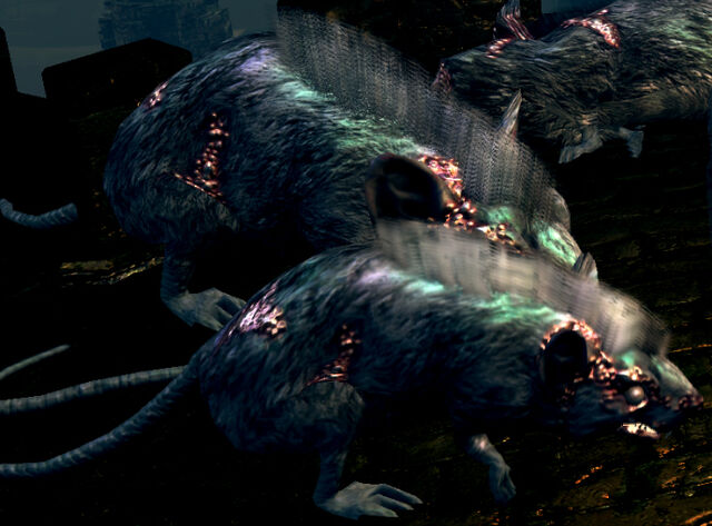File:Undead rats.jpg