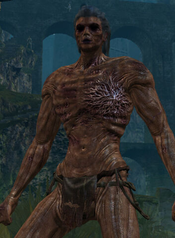 File:Hollow male.jpg