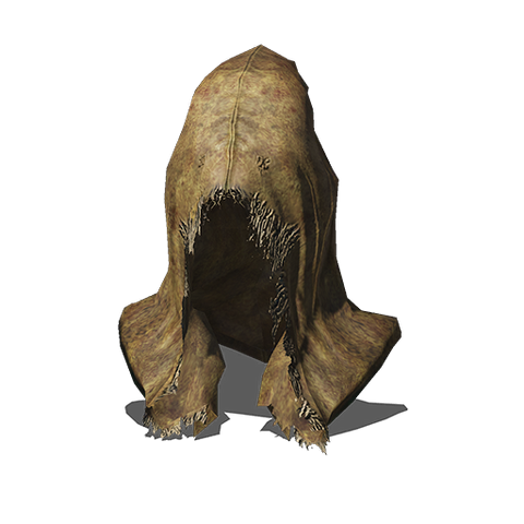File:Conjurator Hood.png