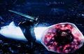 Thumbnail for version as of 13:25, July 22, 2014