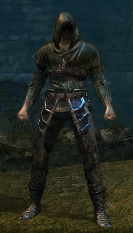 File:Hollow Thief Set Male.png