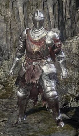 File:Lothric Knight Set.jpg