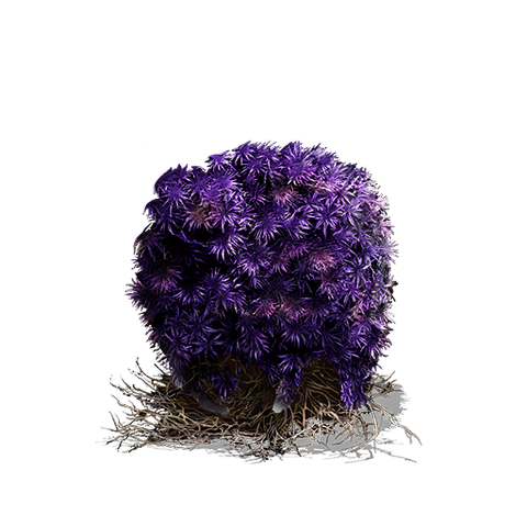 File:Purple Moss Clump (DSIII).png