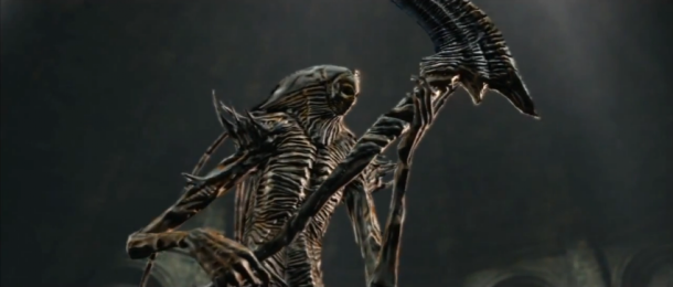 File:Nashandra undead.png
