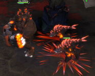 PainHounds
