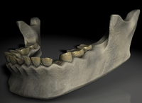 Prophetic Jawbone