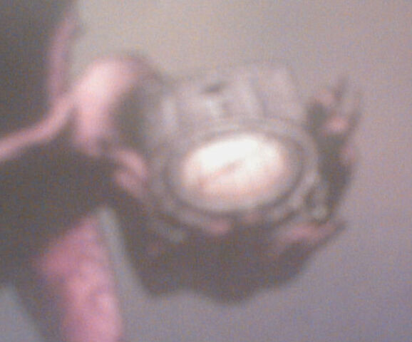 File:Roland Compass.jpg