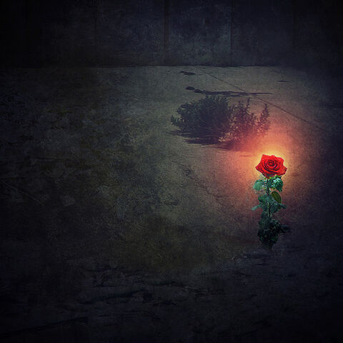 File:The Garden of the Rose.jpg
