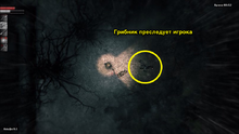Image-2.png