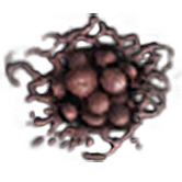 PoisonousMushrooms(Harvestable)-0.png