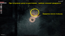 Image-3.png
