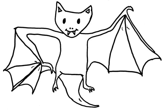 Datei:Fledermaus2.jpg