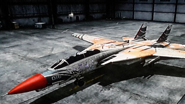 File:F-14D -Kotori-.jpg