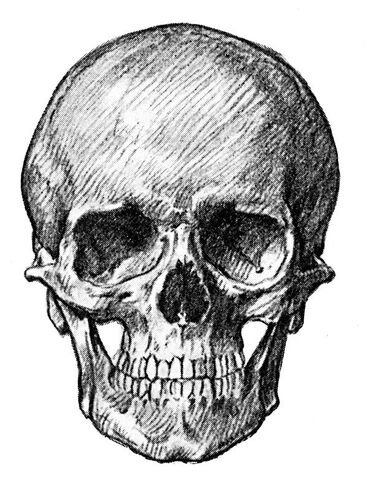 File:Humans.jpg