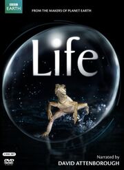 Life DVD cover