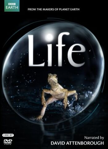 File:Life DVD cover.jpg