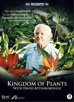 Kingdom of plants