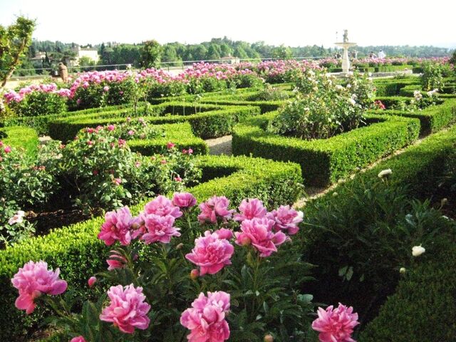 File:Rose-garden-Boboli-gardens-Florence-Italy-1024x768.jpg