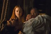 Da vinci blood transfer