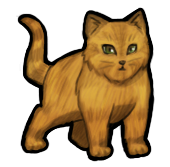 Kitten