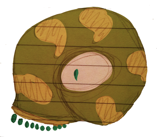 File:CAM00699kopie.png